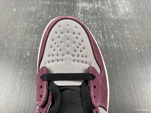 Jordan Gore-Tex Element 1 Air DB2889-500 0802